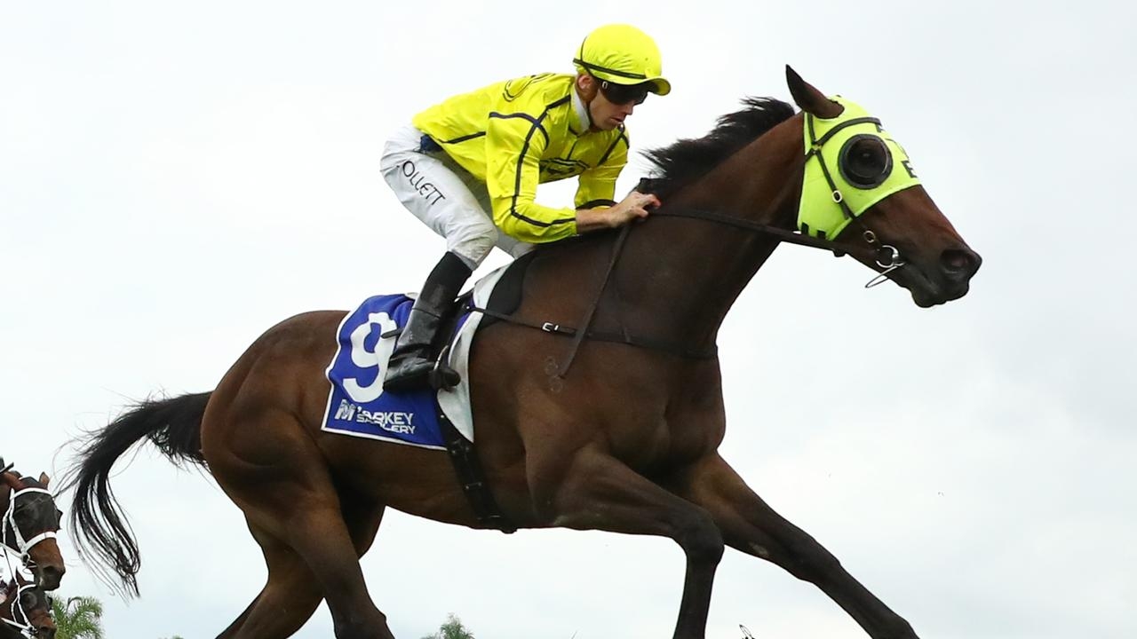 Gilbert Gardiner's Blackbook: Horses to follow from Sandown