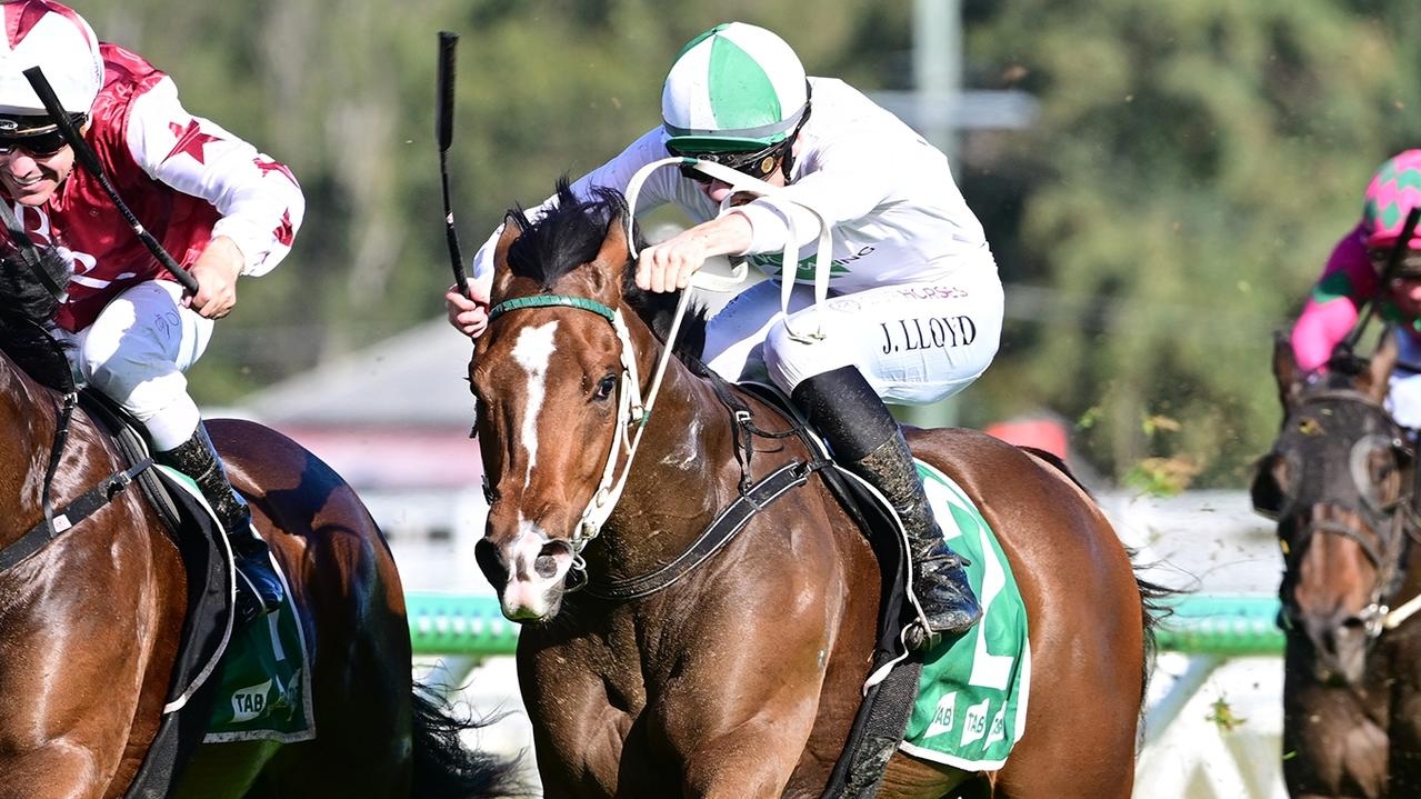 Call Da Vinci has BRC Sires' Produce odds slashed from $100 to $26 after Ipswich win on Wednesday