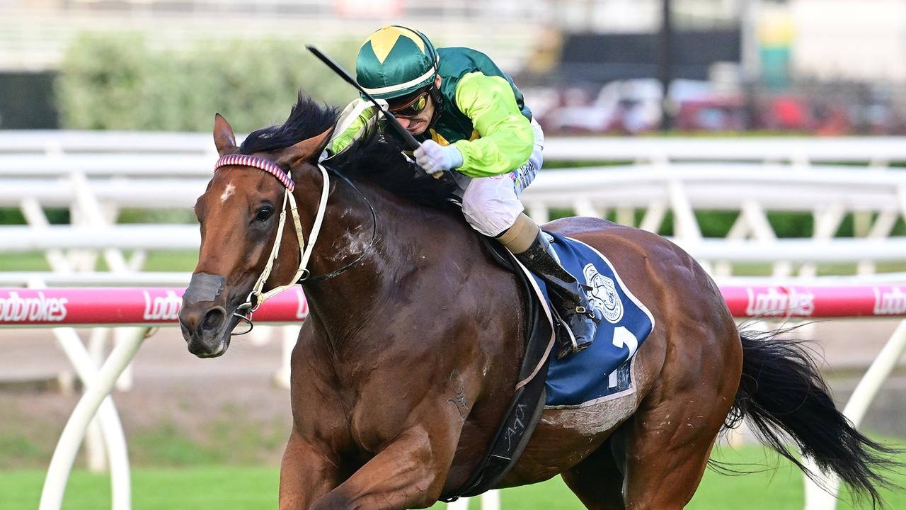 Stradbroke Handicap runner-up Yellow Brick will be set for another attempt at Epsom Handicap