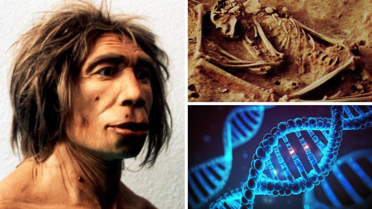 6000 year old skeletons with no connection to modern humans found in Colombia