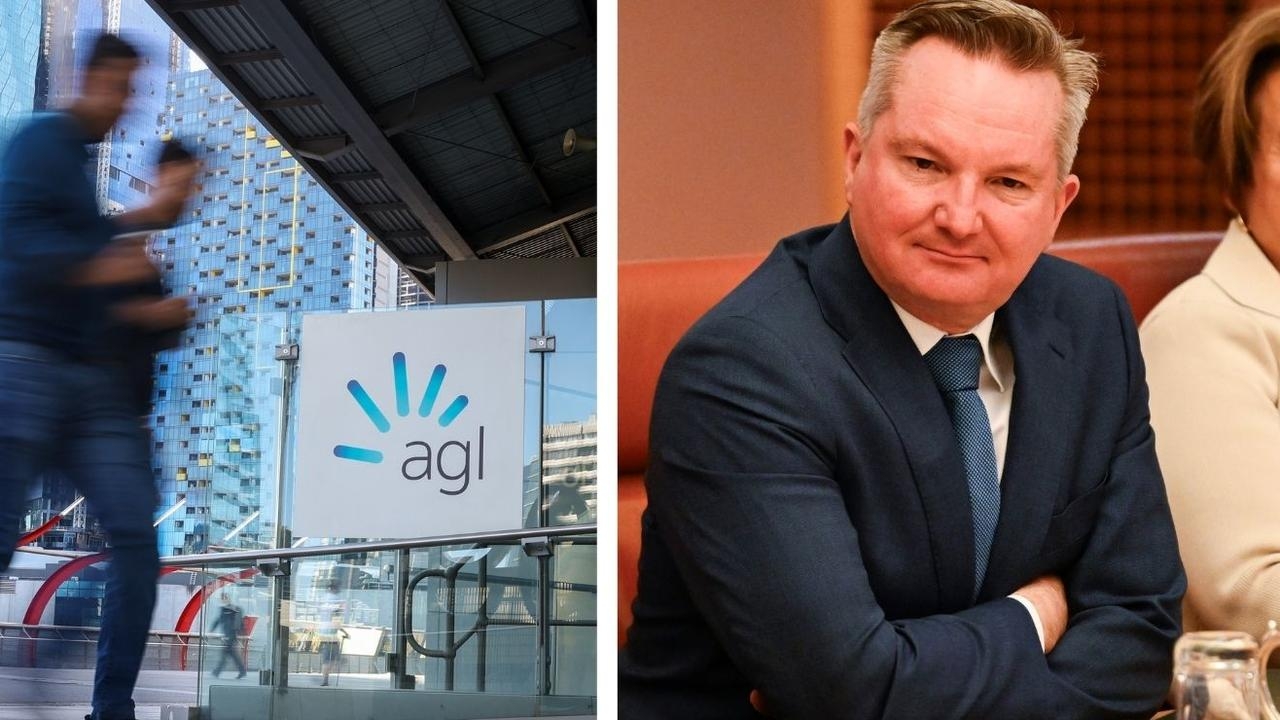 ‘Could be so much simpler': Energy Minister Chris Bowen announces energy price cap overhaul