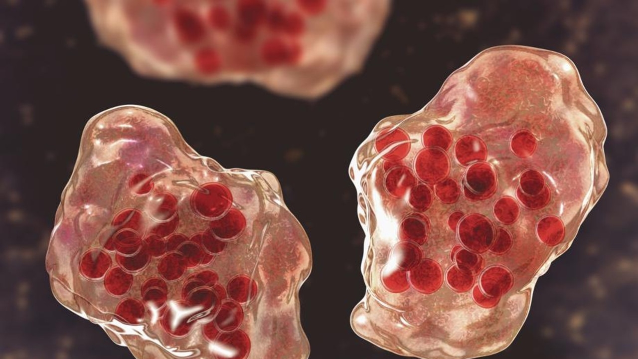 Alert for Melbourne's Chadstone Shopping Centre as two more locally acquired cases of measles are confirmed