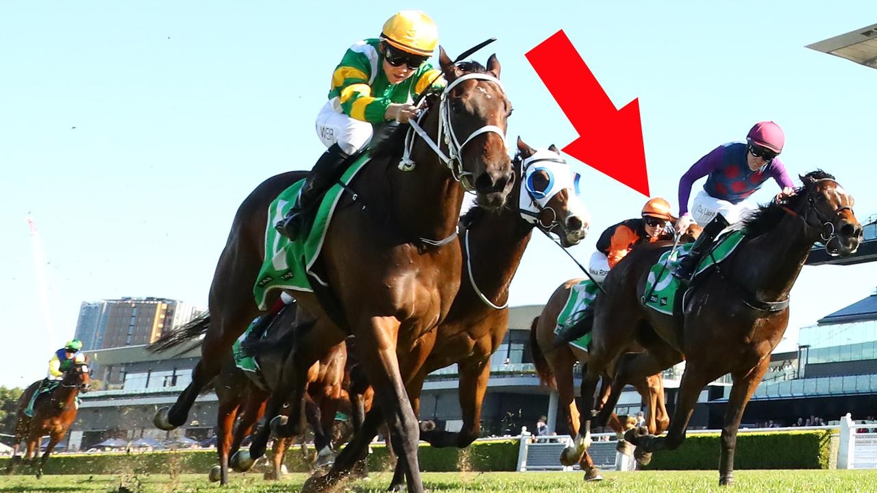 Mitch Cohen's Blackbook: Five to follow from 2025 Civic Stakes day at Royal Randwick