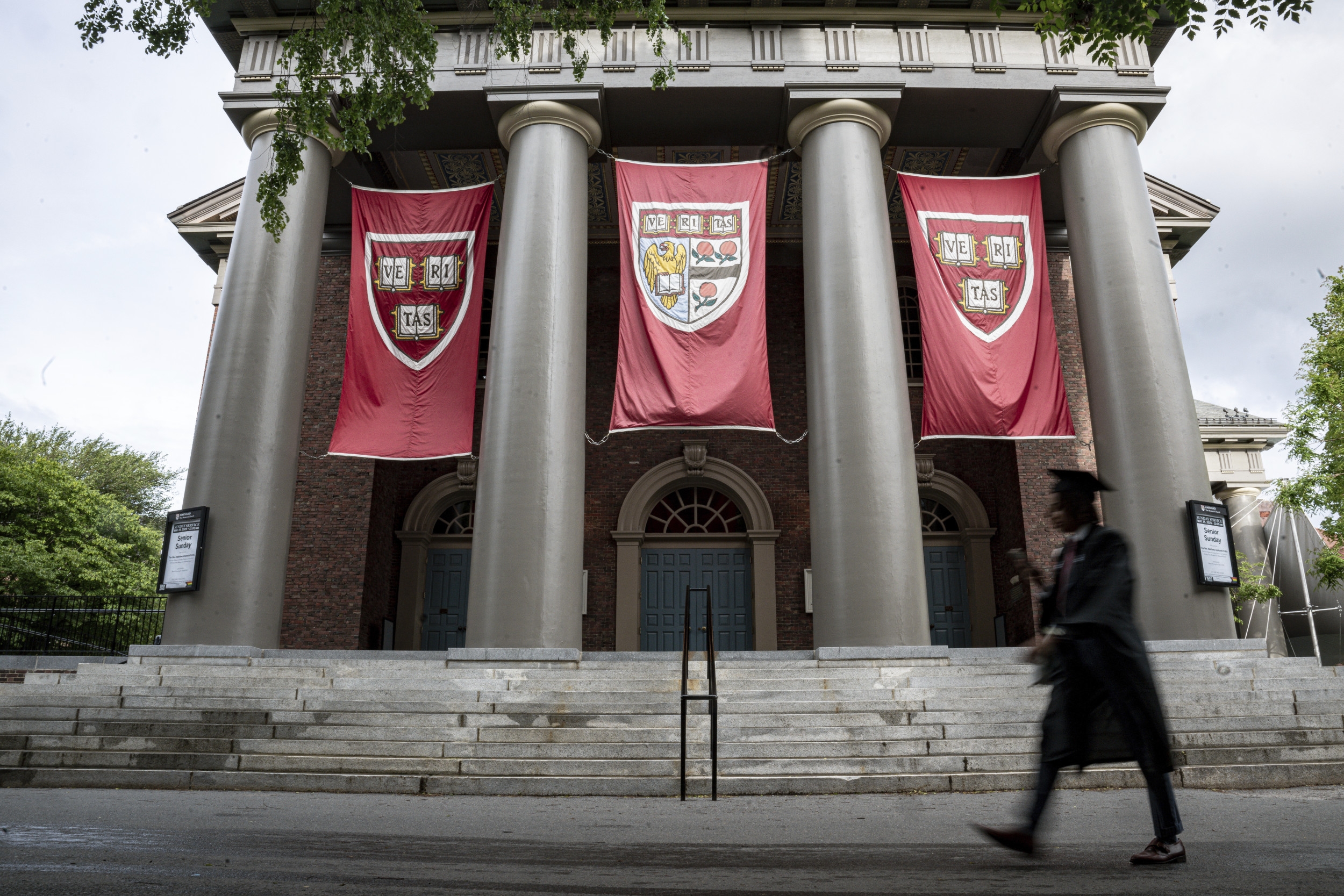 Harvard Pastor Says Trump Is Hurting Catholic Church's Influence