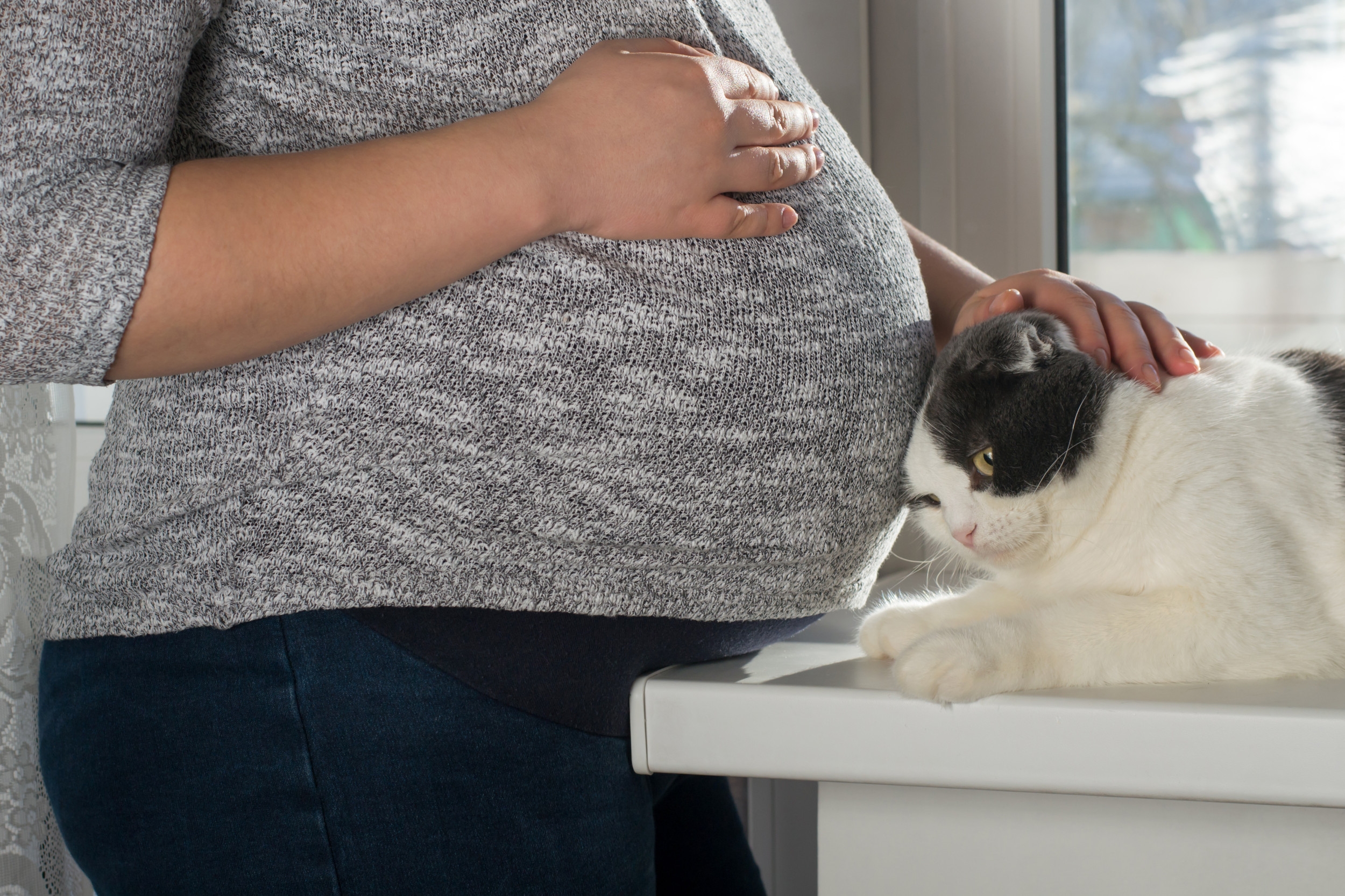 What Cat Does for Post-Partum Owner Stuns Viewers: 'Stepped Up'