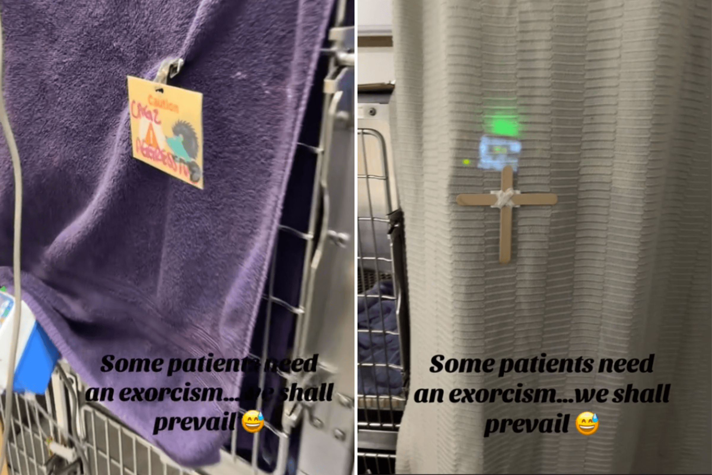 Internet Can't Cope With What Vet Does for Patients Who 'Need an Exorcism'