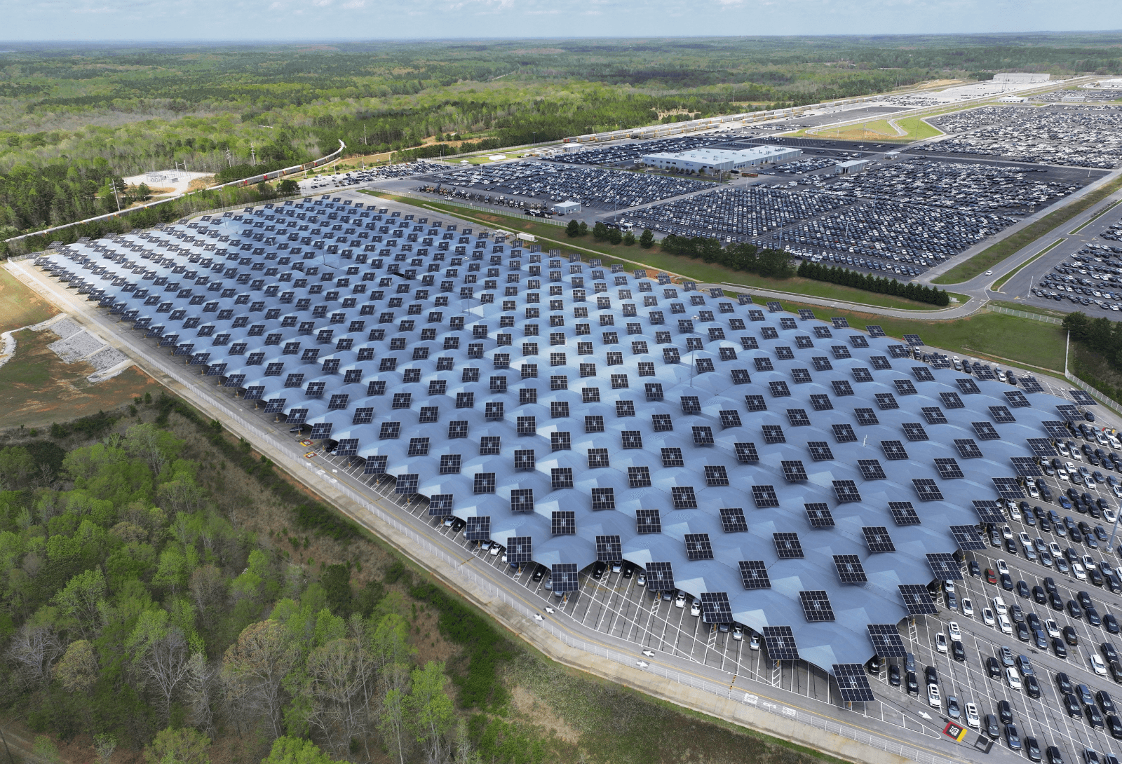 Eco-Friendly Installation to Keep Kias Safe From Future Violent Storms