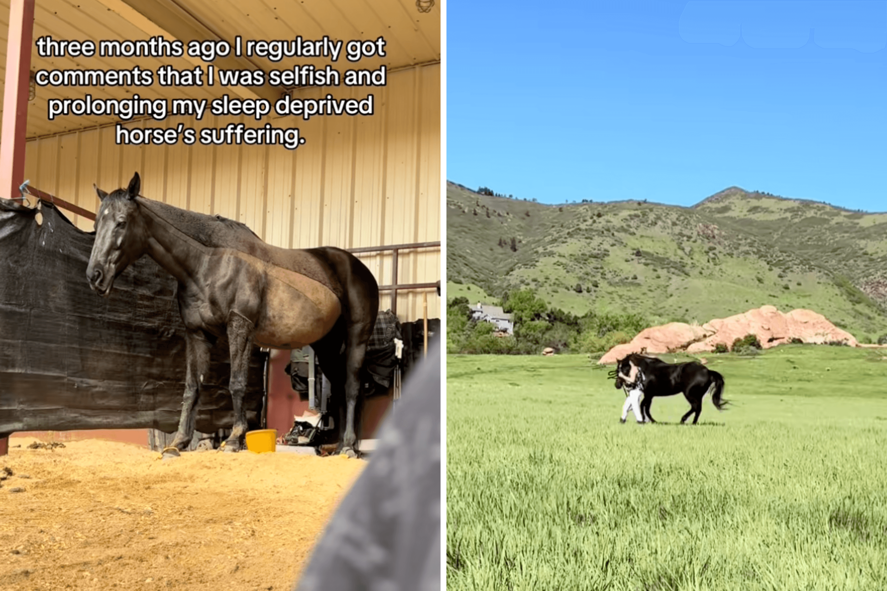 Woman Told To Put Down Horse, but She Refuses: 'Look at Him Now'
