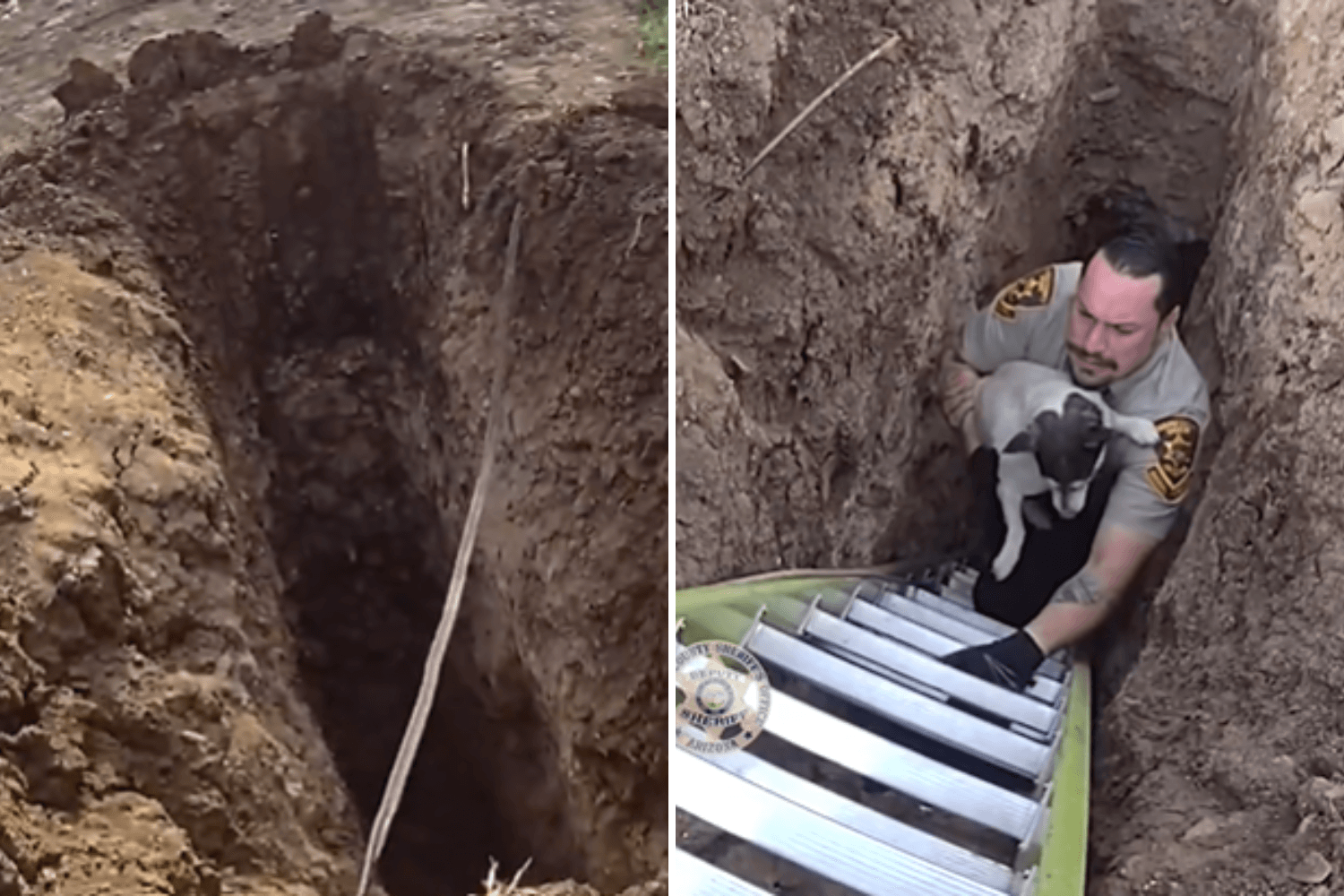 Utility Worker Hears Noise From Deep Hole—Not Ready for What's Down There