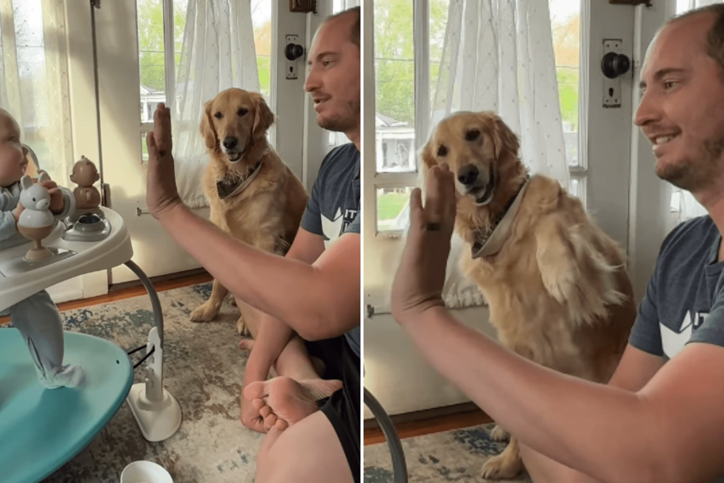 Dad Tries To Teach Baby to High-Five, But Golden Retriever Has Other Plans