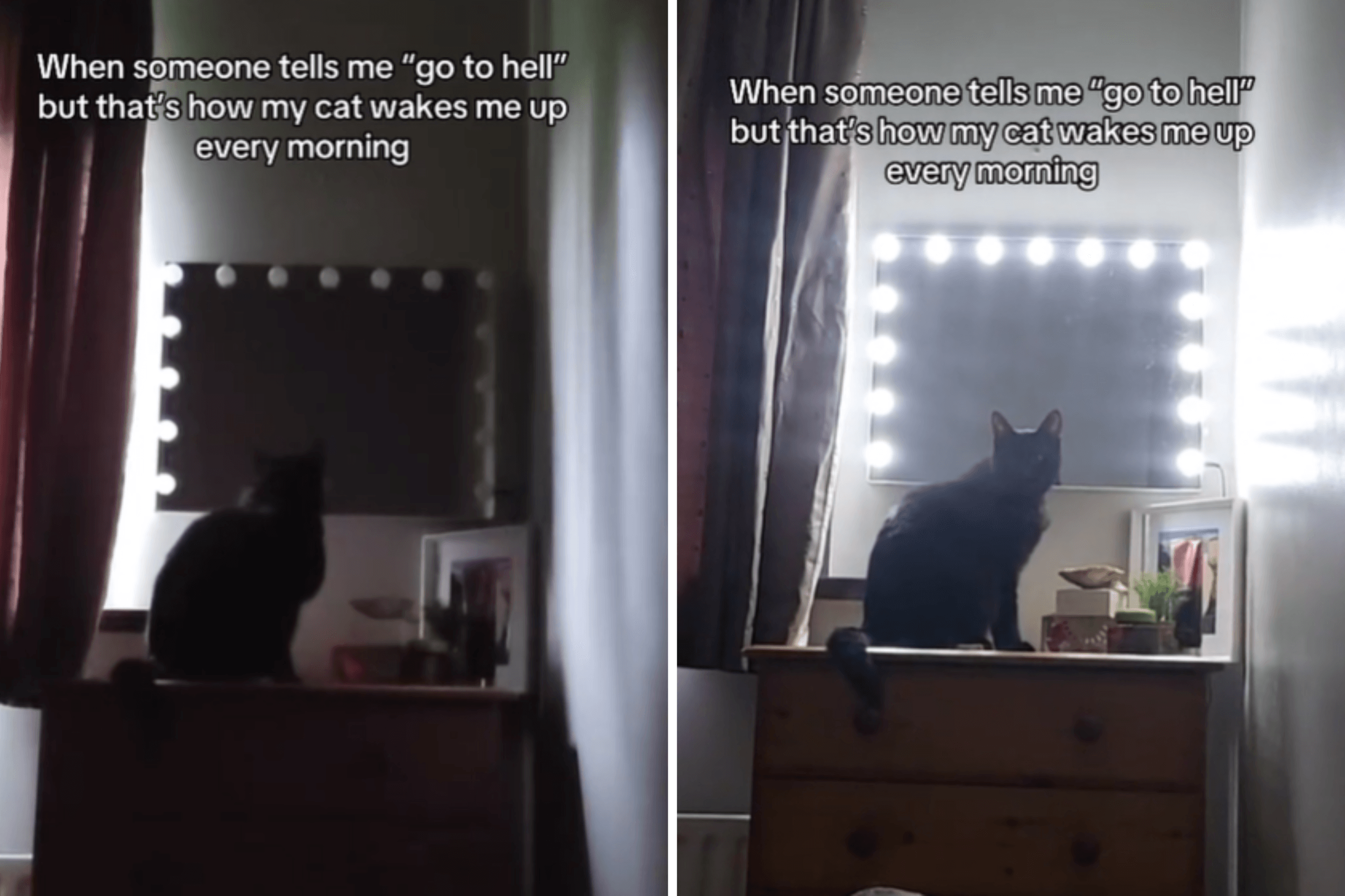 Cat Wakes Owner up at 6:37 Each Morning—She Finally Realizes Why