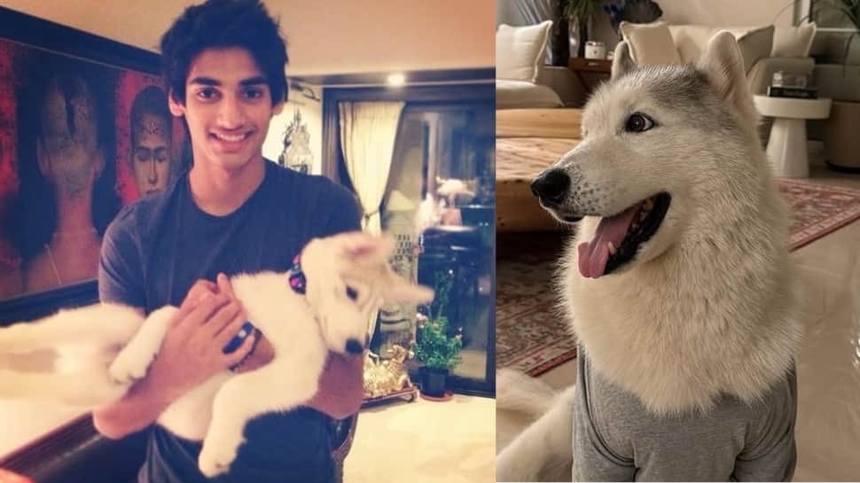 Until We Meet Again Athiya And Ahan Shetty's Beloved Pet Brody Passes Away