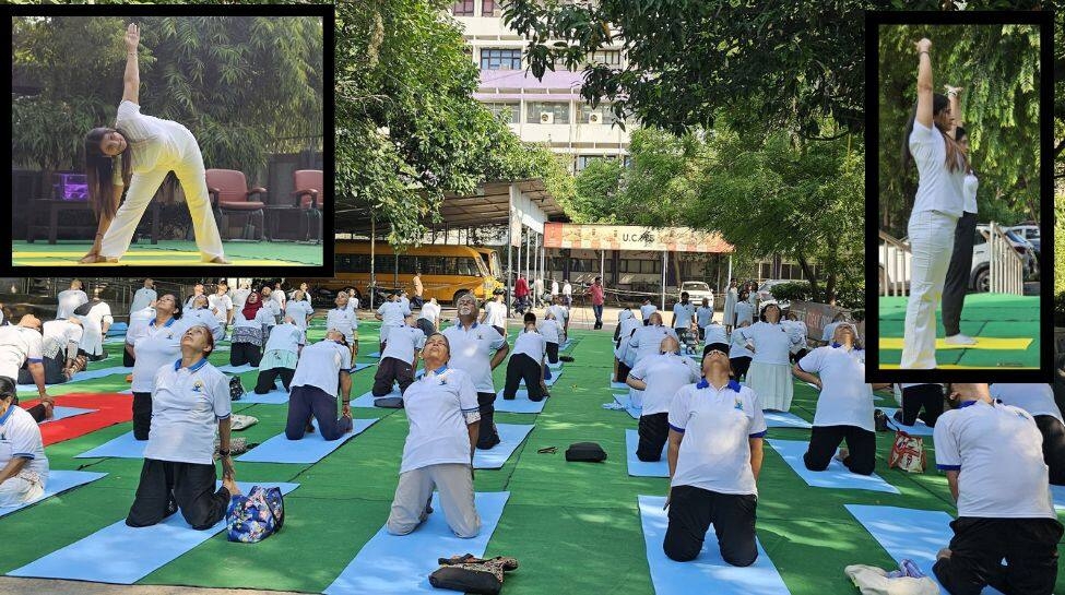 International Yoga Day 2025: Best Yoga Poses for Each Life Path Number