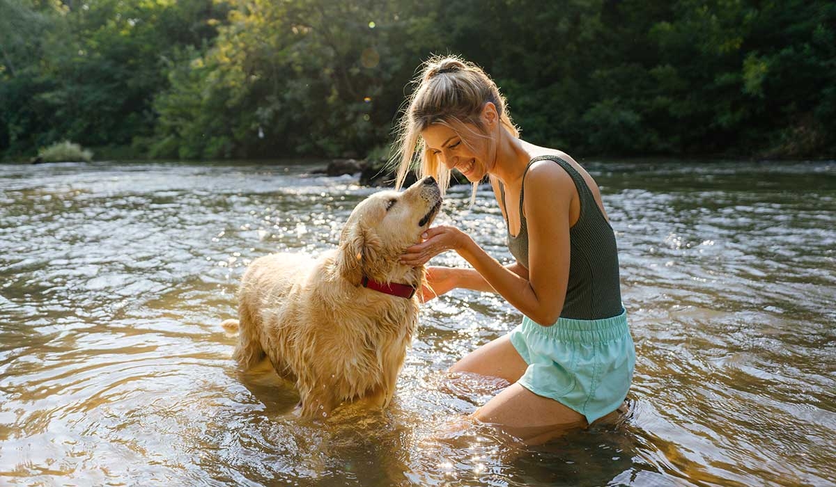 Urgent warning for dog owners as temperatures to soar
