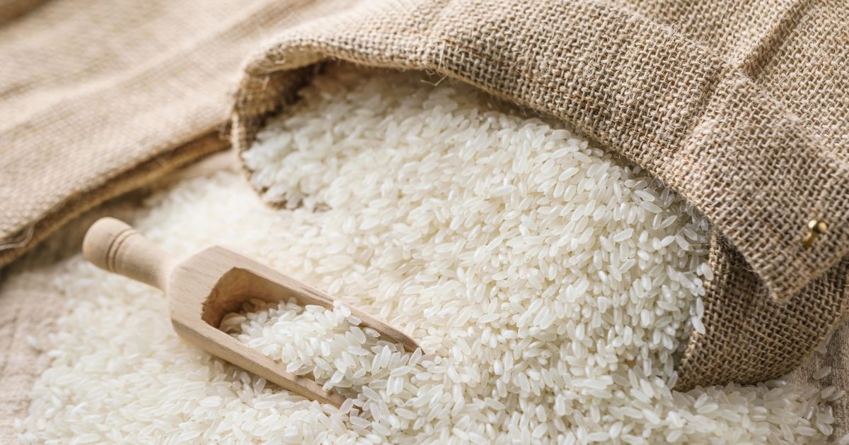 Marcos confident P20-per-kilo rice is sustainable as production increases