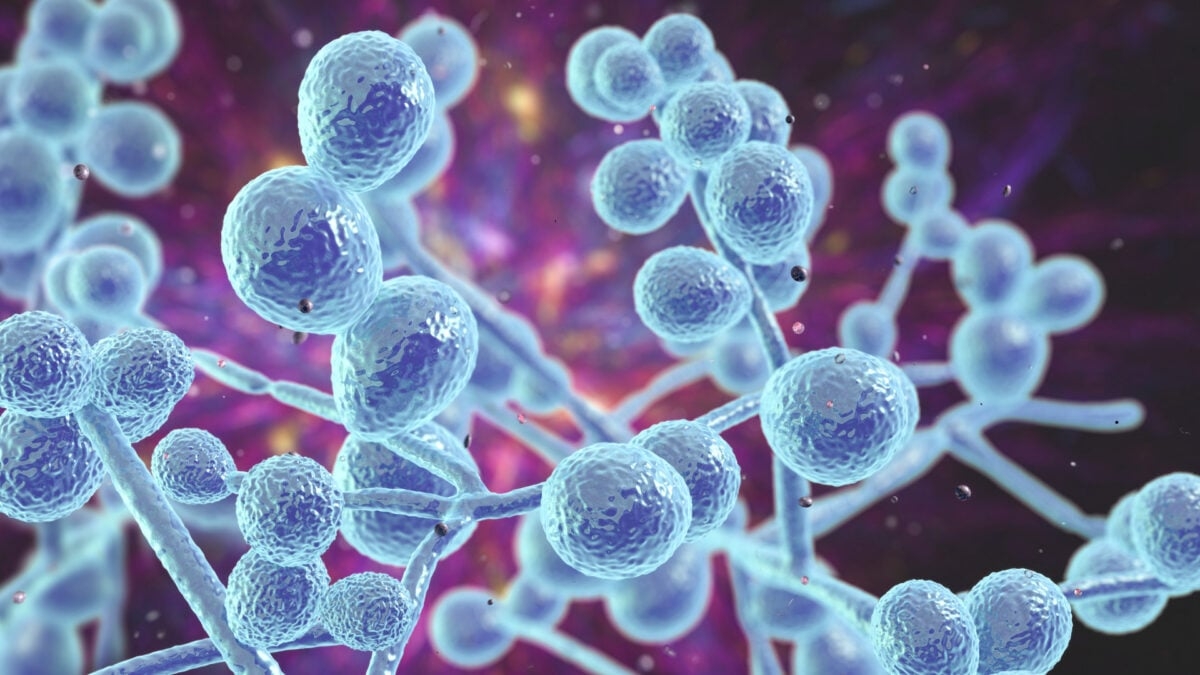 A Vaccine for Yeast Infections Could Soon Be Reality