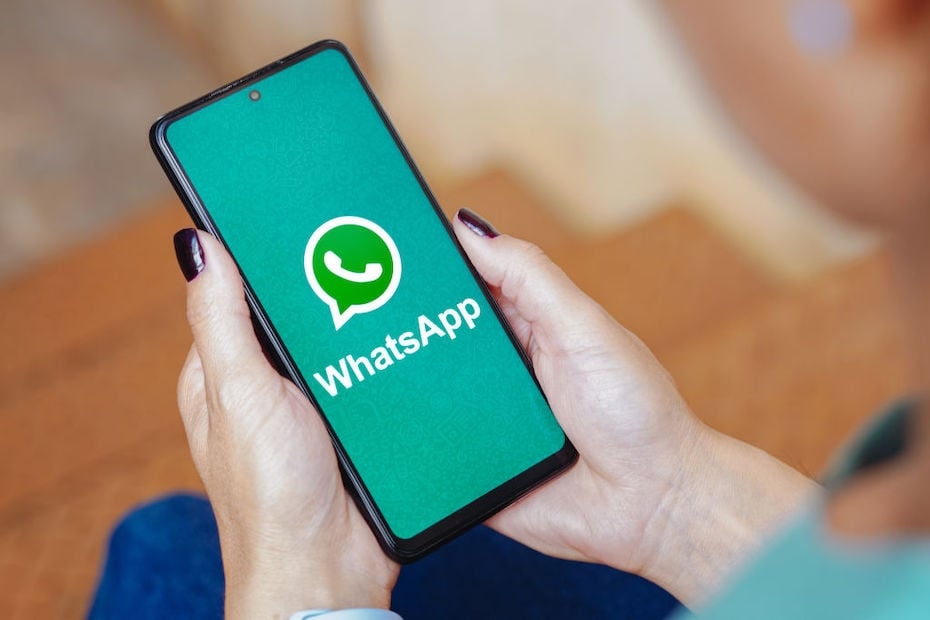 WhatsApp rolls out new features for businesses: How to benefit from them