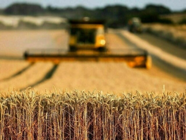 HBL's ‘Agahi Program' drives agricultural progress in Pakpattan