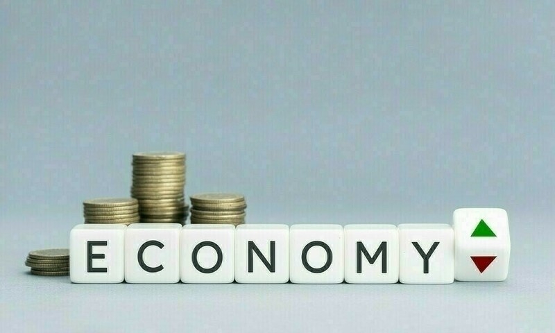 Govt could have done more in the budget