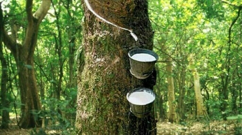 Japanese rubber futures track Nikkei gains to hit 2-1/2-week high