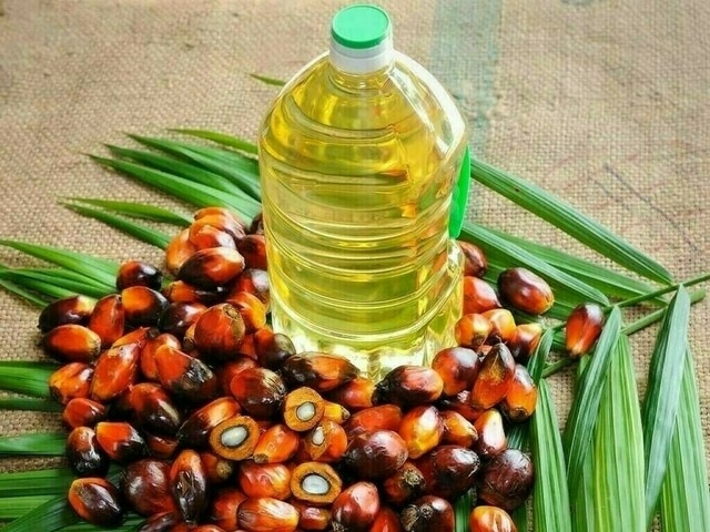 Malaysian palm oil futures rise tracking rival soyoil