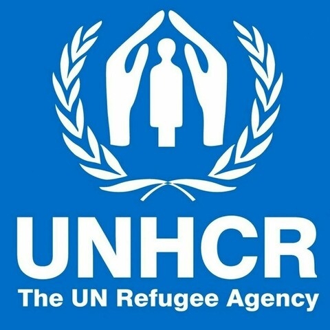 World Refugee Day: 123m people worldwide forcibly displaced