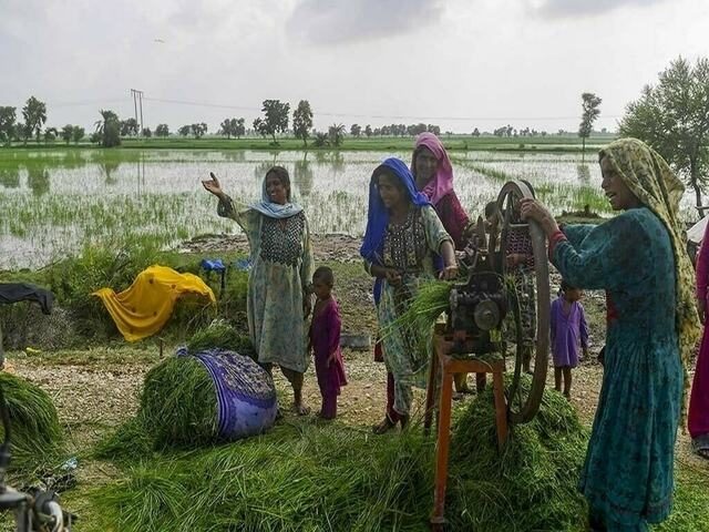 ‘She Feeds the World programme' successfully concluded