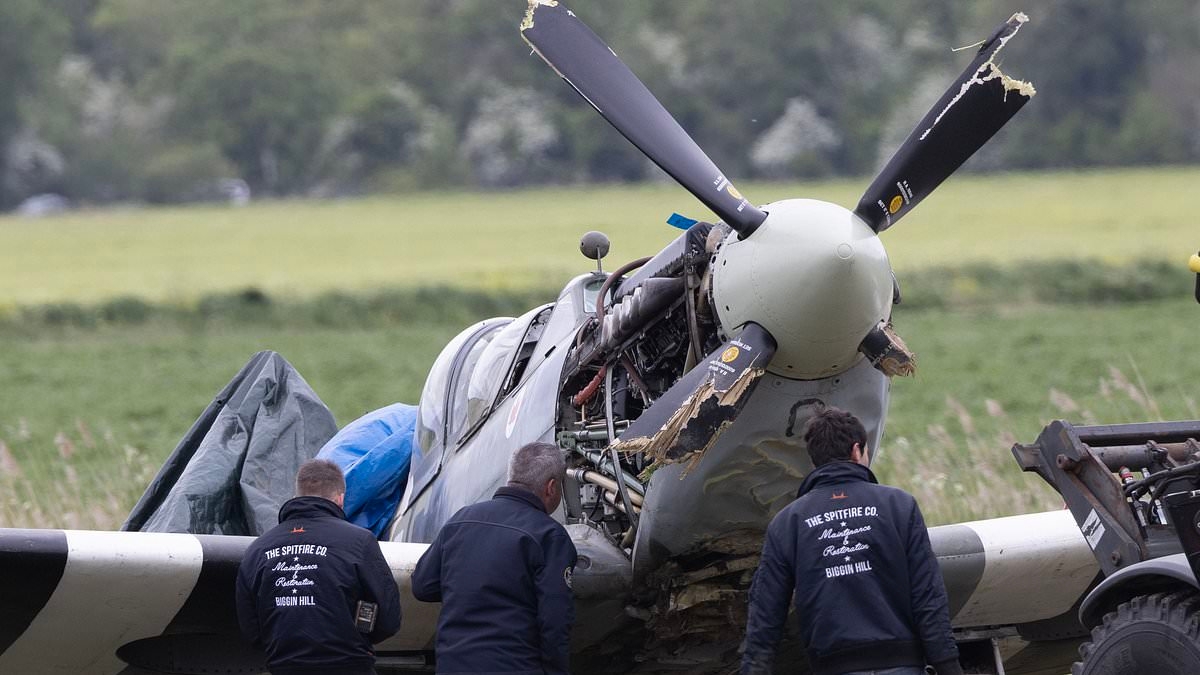 EXCLUSIVE Seconds from death... but saved at the final moment: Eyewitness reveals how hero Spitfire pilot spared two lives as it crashed into field