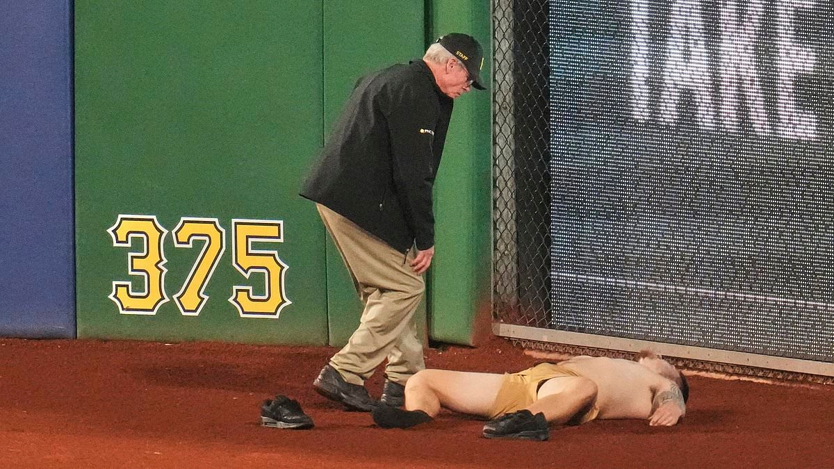 Troubling history of man 'who bought beers for 20-year-old Pirates fan' before near-death plunge