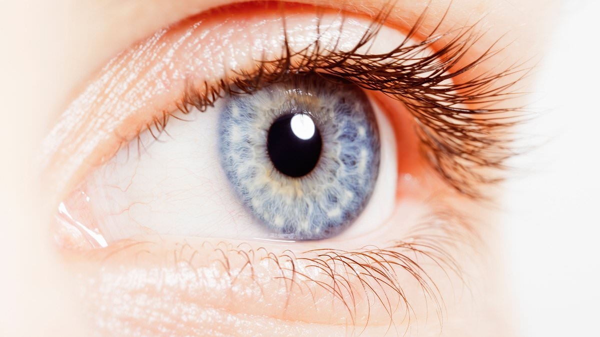 The surprising science behind the colour of your eyes - and what it reveals about your personality
