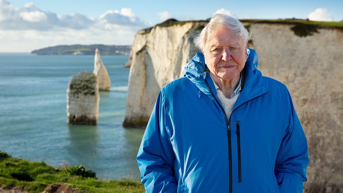 EXCLUSIVE The truth behind David Attenborough's new ocean documentary - including how involved he REALLY is and the underwater shots that look 'too good to be true'