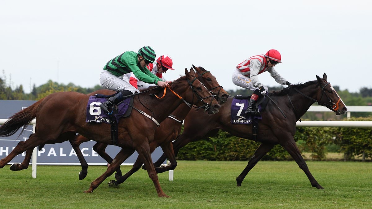 Robin Goodfellow's racing tips: Best bets for Monday, June 9