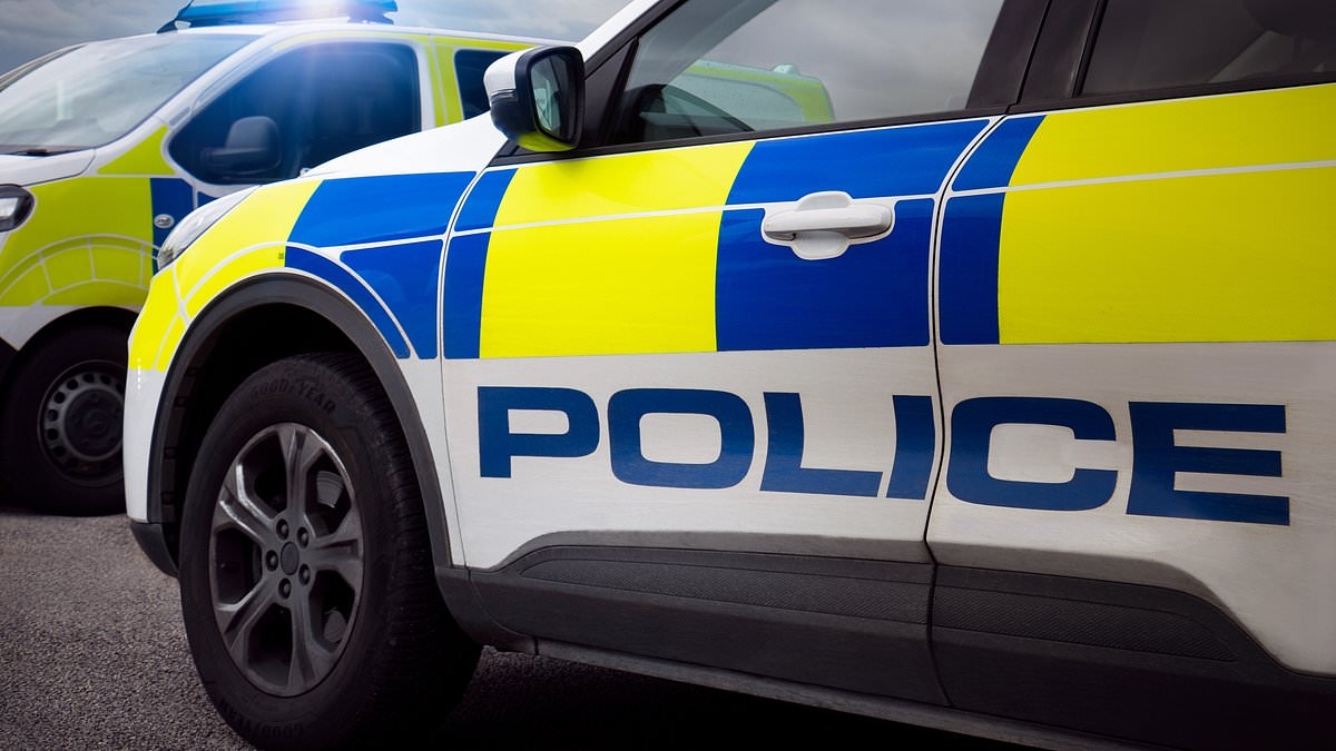 Four people including woman, 21, and teenage boy, 16, are arrested over 'unexplained' death of baby