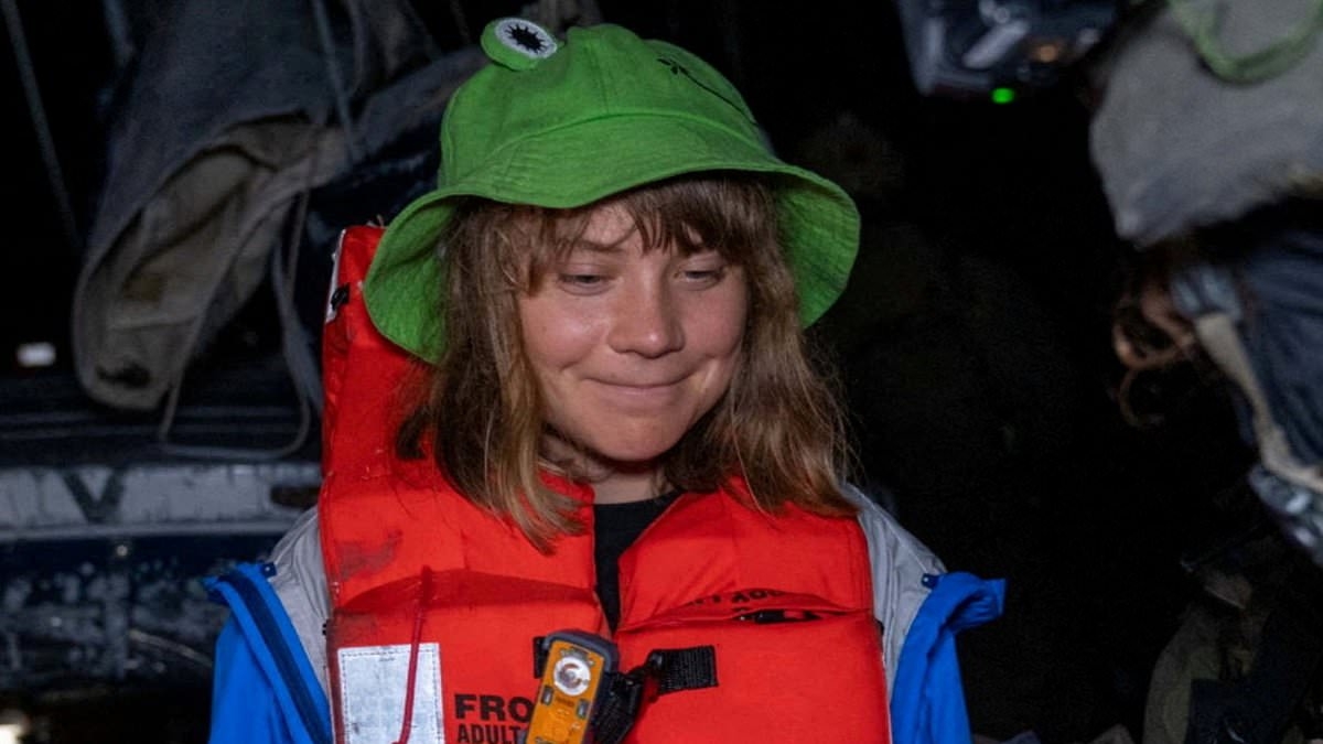 It's staggeringly offensive of Greta Thunberg to claim she's been 'kidnapped' when we know what real kidnap looks like: JAKE WALLIS SIMONS