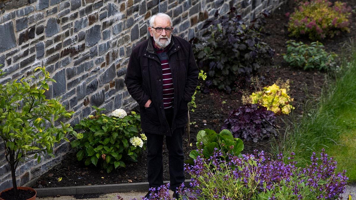 They wanted to knock down my house to build a £2bn road - I said no so they bulldozed my beloved garden instead