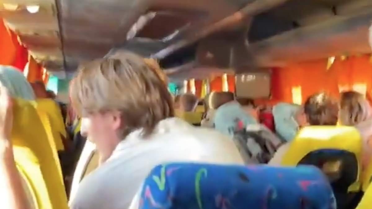 Gaza aid activist claims they were 'violently dragged' onto buses and 'beaten' as Egyptian authorities deported them