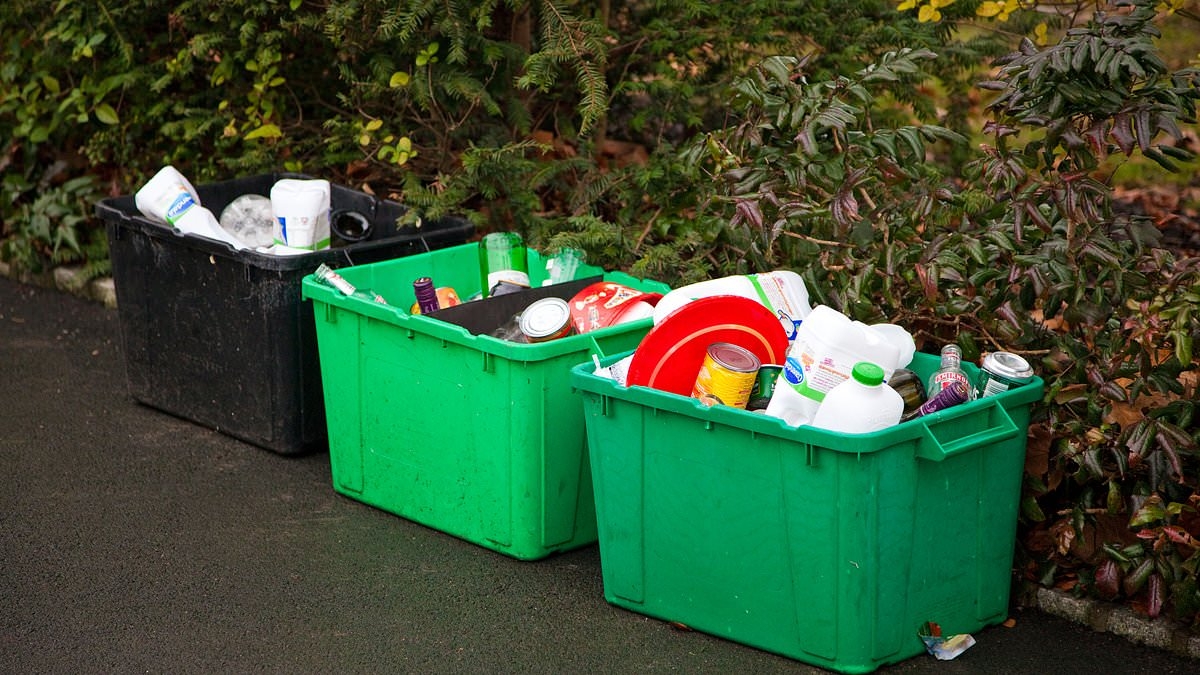 Do YOU know which bin soft plastics go in? Major shake-up to how households recycle the items most Brits don't know what to do with