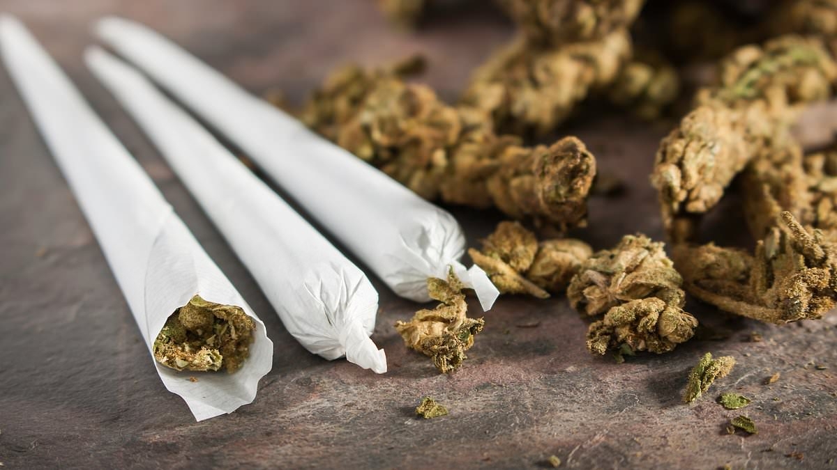 Teachers reveal shocking extent of drug use in school and say kids at PRIMARY are high on cannabis