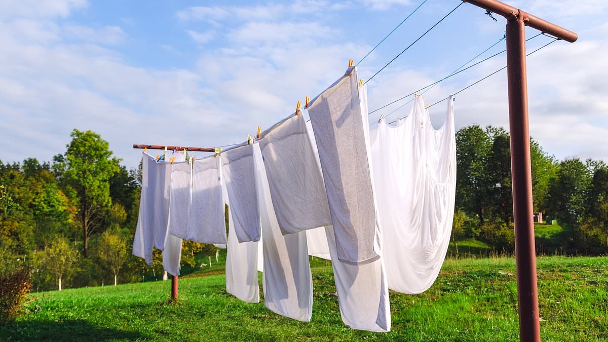 You're drying your washing wrong! Expert reveals why you SHOULDN'T hang your clothes outside during the UK heatwave