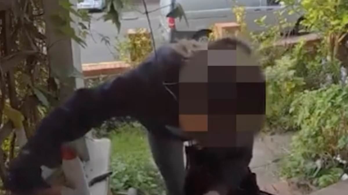 EXCLUSIVE Shocking moment brazen thief steals child's SCOOTER from family's front garden - before she shamelessly takes off