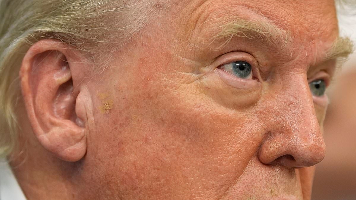 Alarm bells for Trump as military insiders fear U.S. lacks the muscle to take out Iran's nuclear arsenal if warranted