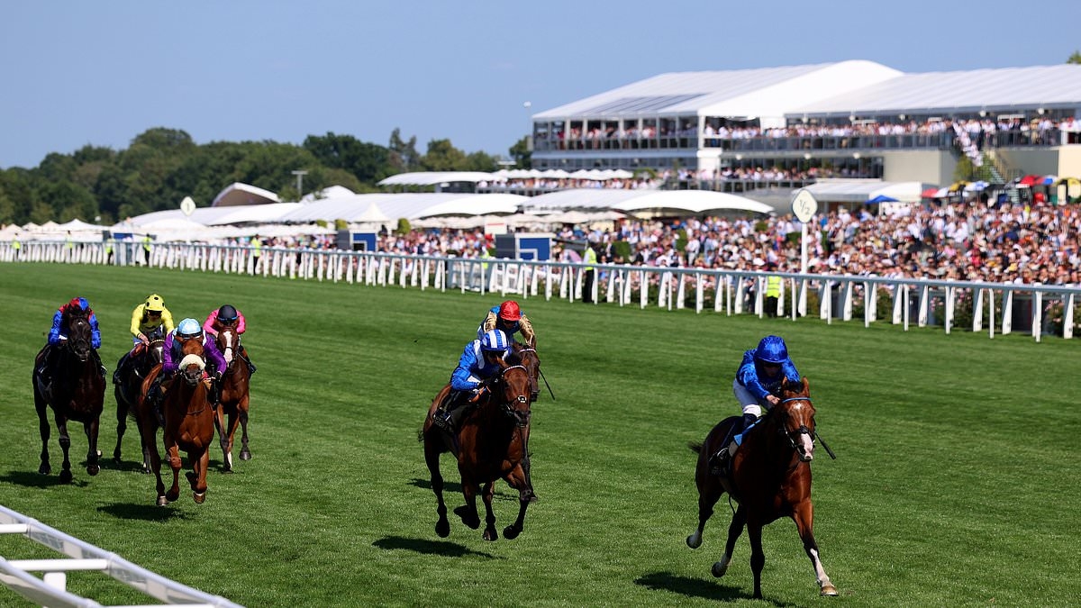 Robin Goodfellow's racing tips: Best bets for Friday, June 20