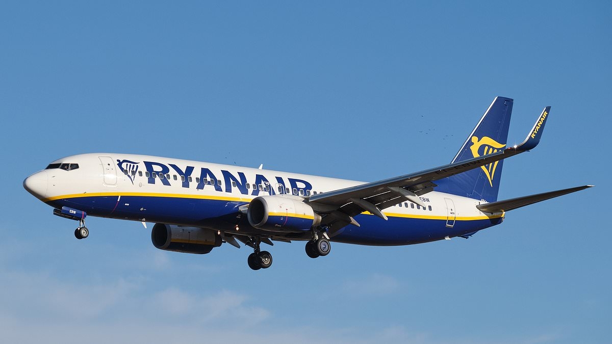 Ryanair demands urgent intervention as passengers face long delays and missed flights at major airport