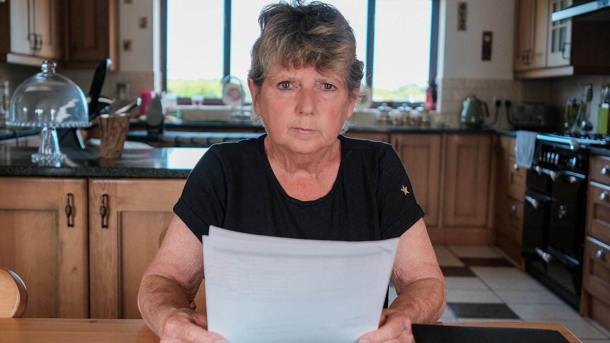 Pensioner is hit with £24,000 electricity bill... and ordered to pay back £2,000 a WEEK