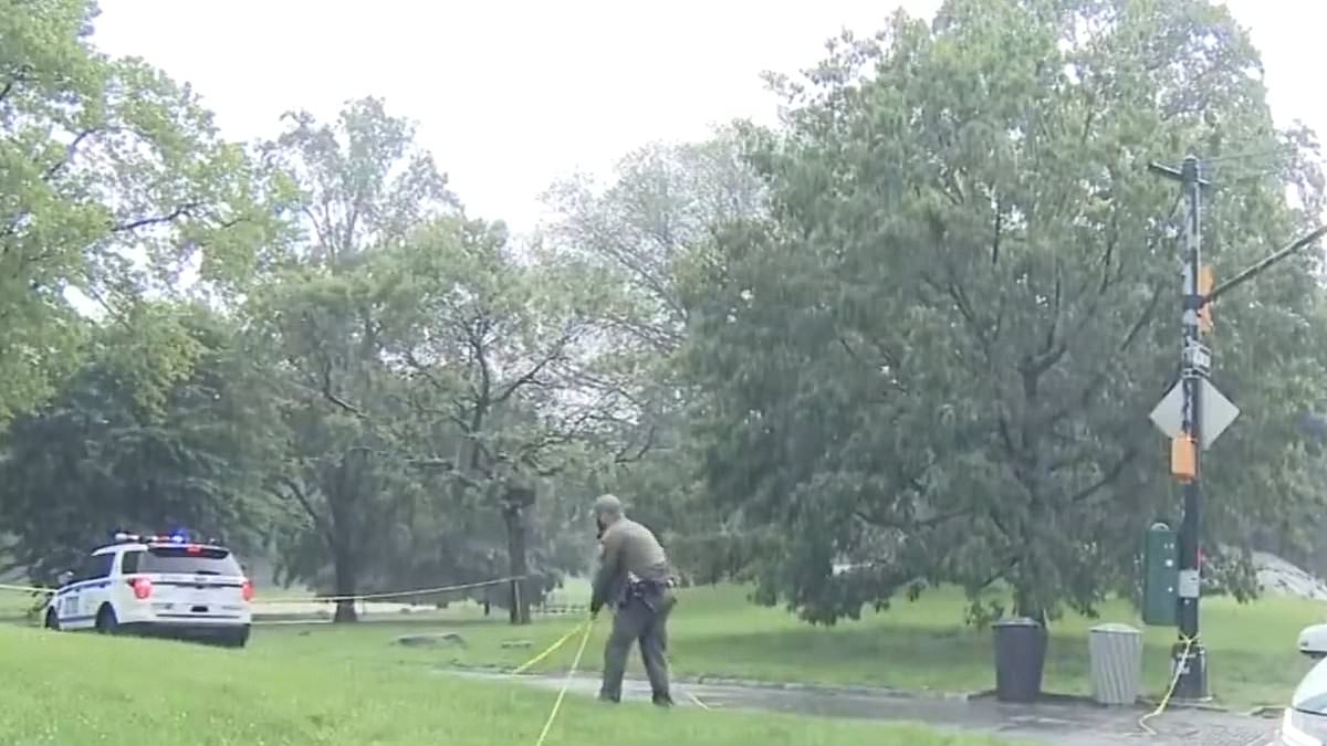 Horrific NYC lightning strike seriously injures teen in Central Park during freak thunderstorm