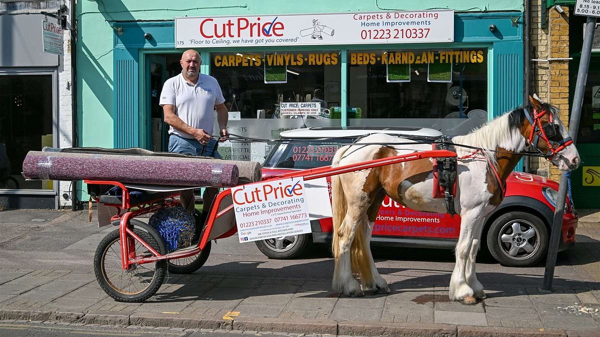 Shop owner forced to resort to using horse and cart for deliveries after council set up controversial bus gates