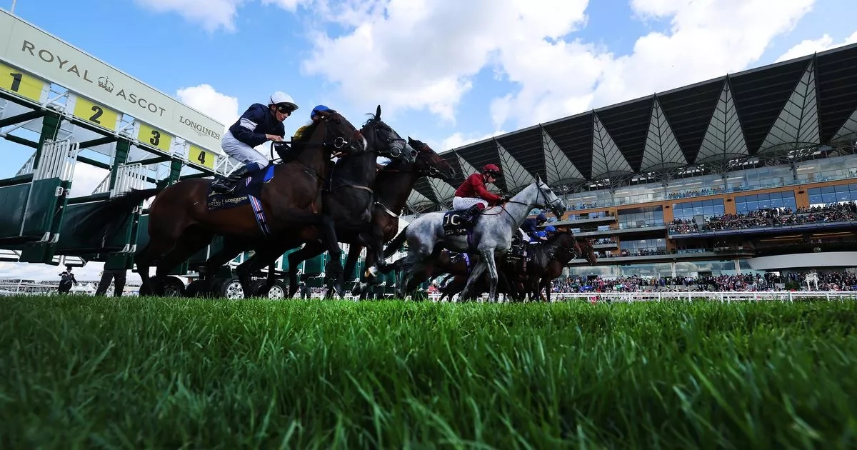 Royal Ascot 2025 Day 3 tips and best bets as Candelari napped for glory