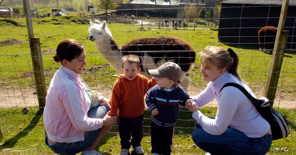 Scottish wildlife centre crowned 'most child friendly' campsite this summer