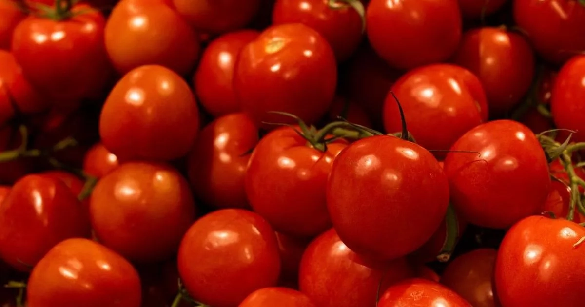 Tomatoes urgently recalled over risk of 'serious adverse health consequences or death'