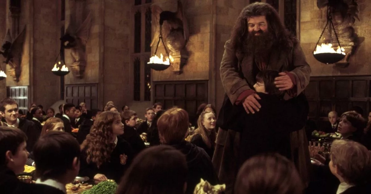 Nick Frost addresses taking over iconic role in controversial Harry Potter series